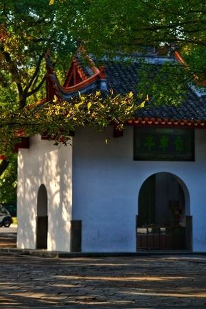 城市-旅行-房屋-建筑-树 图片素材