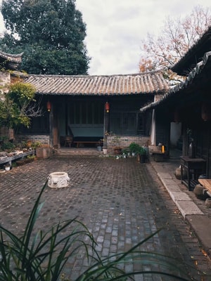 故宅-树-青石地板-井-兰花 图片素材
