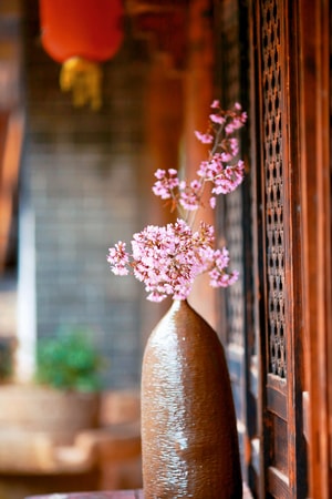 樱花-花瓶-粉红-古宅-陶土 图片素材