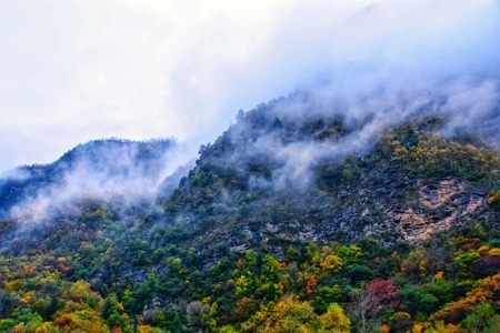 雾气腾腾-山-风景-山-山峰 图片素材