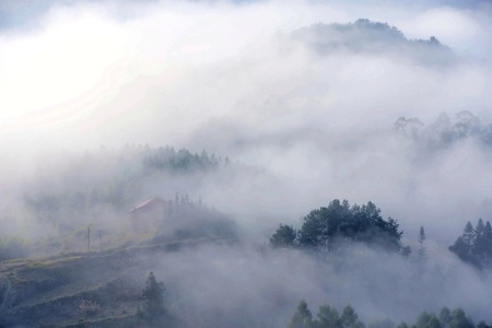 浓雾-山村-风景-浓雾-树 图片素材