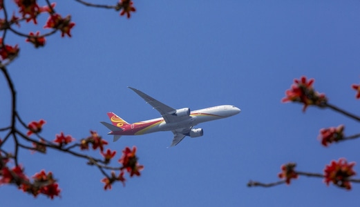 曲歌微画-飞机-海南航空-木棉花-蓝天 图片素材
