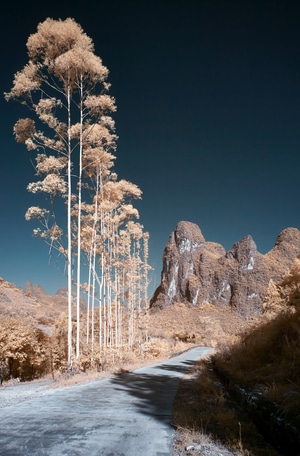 森林-曲歌微画-红外摄影-天空-山 图片素材