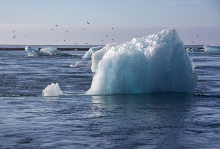 曲歌微画-冰岛-天空-巨冰-海鸟 图片素材