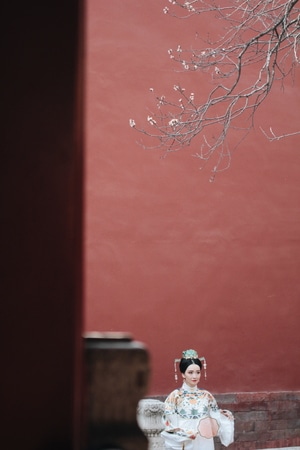 故宫-早春-杏花-人像-春天 图片素材