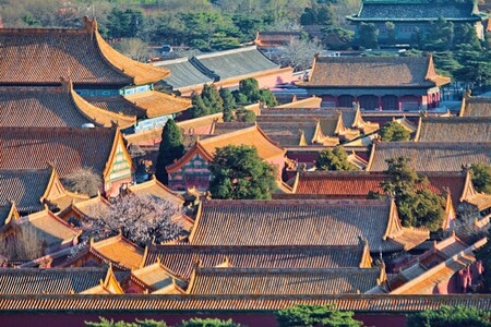 早春-故宫-故宫-房屋-北京 图片素材