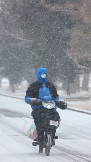 雪天抗疫-男性-男人-外卖员-暴雪 图片素材