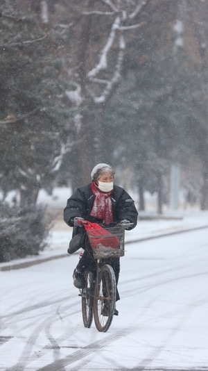 口罩-暴雪-女性-女人-老人 图片素材