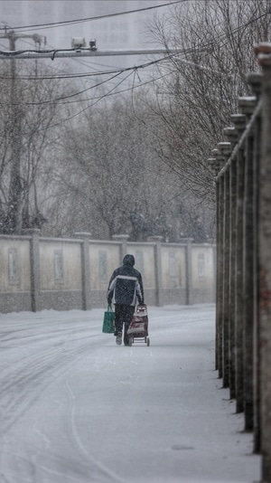 暴雪-抗疫-男性-男人-背影 图片素材