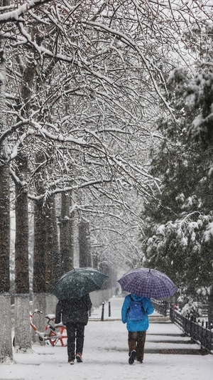 暴雪-抗疫-风景-街道-雪景 图片素材