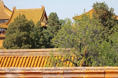 故宫-屋檐-房檐-建筑-树 图片素材