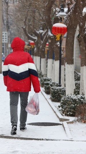 暴雪-抗疫-男性-男人-背影 图片素材