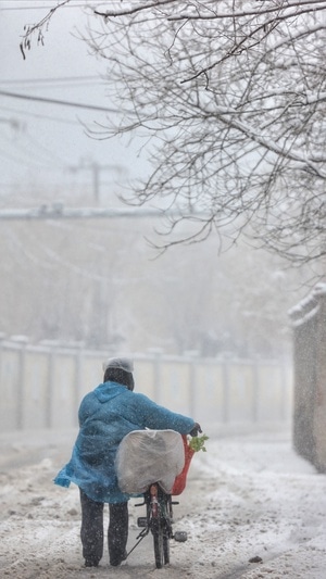 暴雪-抗疫-男性-男人-背影 图片素材