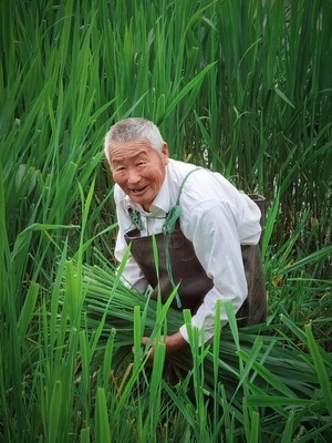 蚌埠市-纪实人文-手机摄影-色彩-老人 图片素材