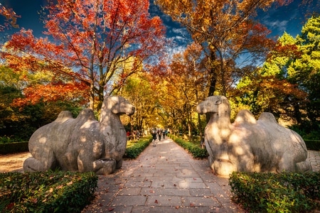 自然-风光-城市-摄影-旅行 图片素材