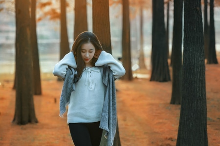 人像-美女-红杉-暖阳-美女 图片素材
