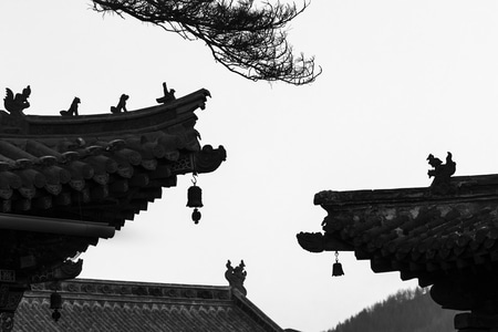 风光-你好2020-建筑-屋顶-屋檐 图片素材