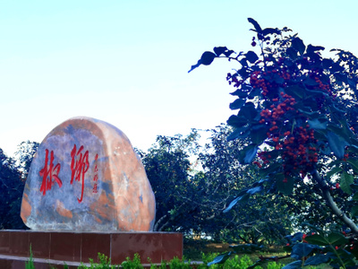 haida滤镜签约-手机摄影-风景-天水花椒！-天水花椒 图片素材
