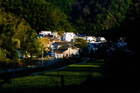 旅行-人文-风景-自然-树木 图片素材