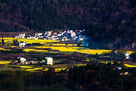 旅行-人文-风光-风景-树木 图片素材