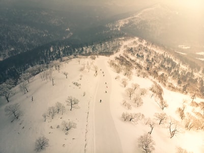 旅行-星野度假村-航拍-滑雪-雪地 图片素材