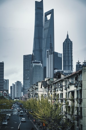 航拍-白玉兰-武康大楼-城市-城市风光 图片素材