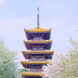 色彩-静物-风景-建筑-塔楼 图片素材