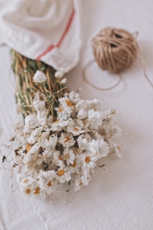 花艺-静物-花-花卉-花朵 图片素材