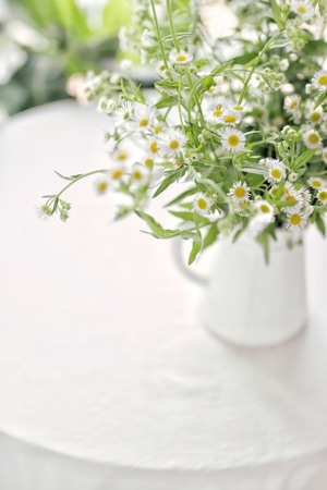 野花-花瓶-小清新-花-花卉 图片素材
