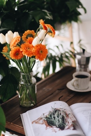 鲜花-咖啡-杂志-下午茶-非洲菊 图片素材