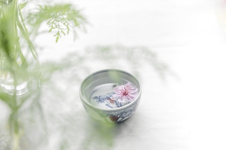 植物-新绿-亮调-茶具-茶杯 图片素材