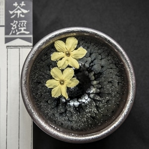 打卡-喝茶-茶具-茶艺-茶道 图片素材
