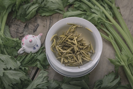 茶艺-茶道-喝茶-安吉白茶-饮品 图片素材