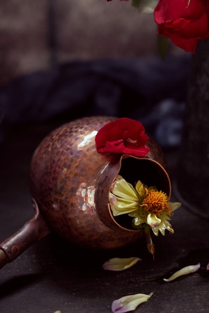 静物摄影-玫瑰-玫瑰-花-花朵 图片素材