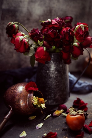 静物摄影-玫瑰-玫瑰-花-花朵 图片素材