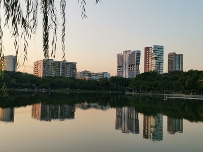 公园-城市风光-我的2019-城市-佛山印象 图片素材