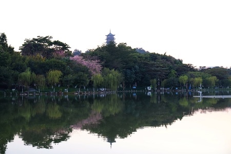 冬日暖阳-城市风光-佛山印象-光影-湖 图片素材
