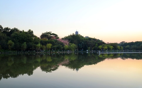 冬日暖阳-城市风光-佛山印象-光影-湖 图片素材