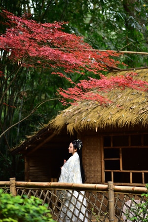 古装-汉服-女人-女性-美女 图片素材