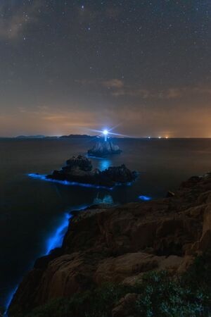 夜色-东极岛-荧光海-星空-旅行 图片素材
