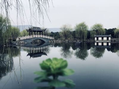 自然-生活点滴-春色-风景-湖 图片素材