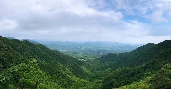 自然-美的生机-找乐-竹海-天目湖 图片素材