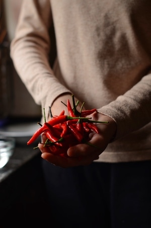 辣椒-生活-食材-辣椒-红辣椒 图片素材