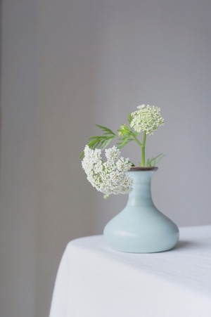 花瓶-我要上热门-花朵-春天-花 图片素材