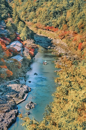 枫叶-红叶-岚山-风景-河 图片素材
