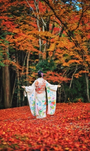 人像-和服-枫叶-红叶-艺术风光 图片素材