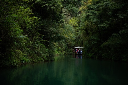 青城后山-风景-自然-河-河流 图片素材