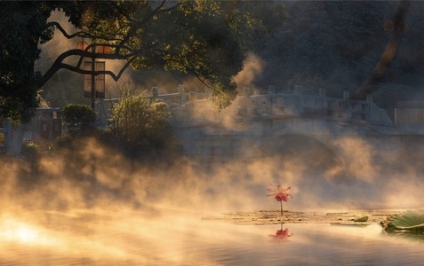 霞光-桥-雾松-风景-桥 图片素材