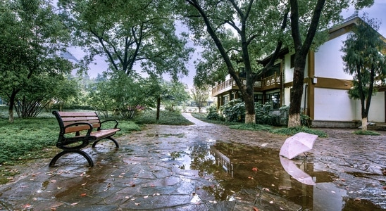 情侣园-风景-树-树木-房屋 图片素材