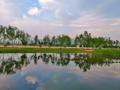 秦皇岛市-家乡美-色彩-光影-公园 图片素材